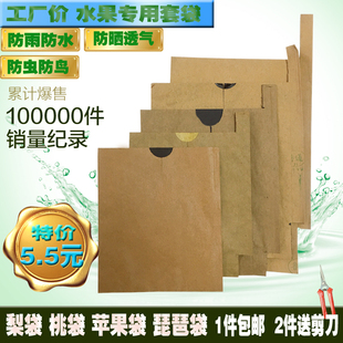 单层梨套袋桃子袋苹果柚子石榴柑橘橙子芒果李子包邮枇杷专用套袋