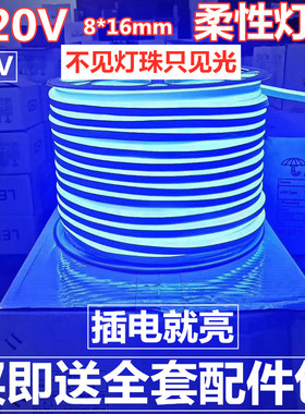 220V蓝光造型做字工程LED灯条12V24V蓝色户外防水柔性霓虹LED灯带