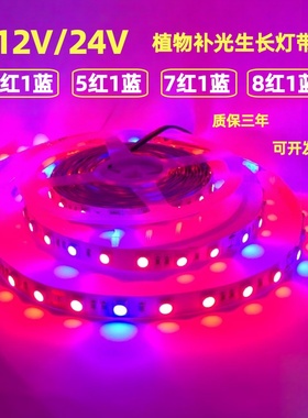 12V24V5050不防水4红1蓝5红1蓝7红1蓝8红1蓝植物草莓多肉LED灯带