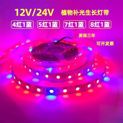 12V24V5050不防水4红1蓝5红1蓝7红1蓝8红1蓝植物草莓多肉LED灯带