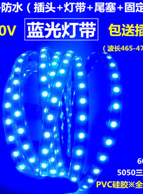高压蓝色LED灯带220V蓝光灯条户外防水红绿蓝黄白灯条吊顶KTV网吧