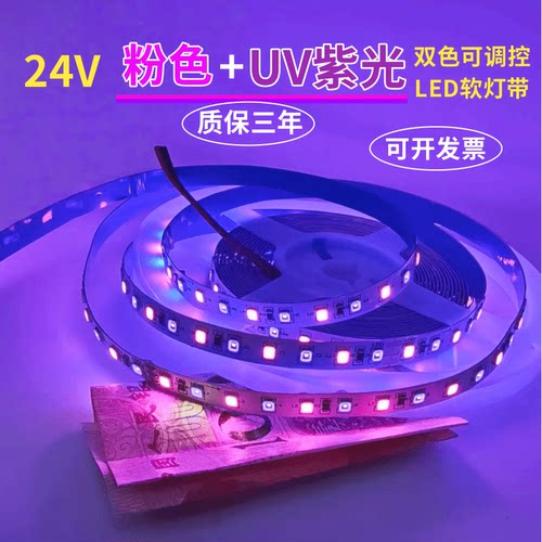 24V粉色+紫色双色可调控LED灯带