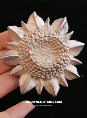 福利850 Kate Hines 掌柜超爱 银色老银色的向日葵 美国品牌