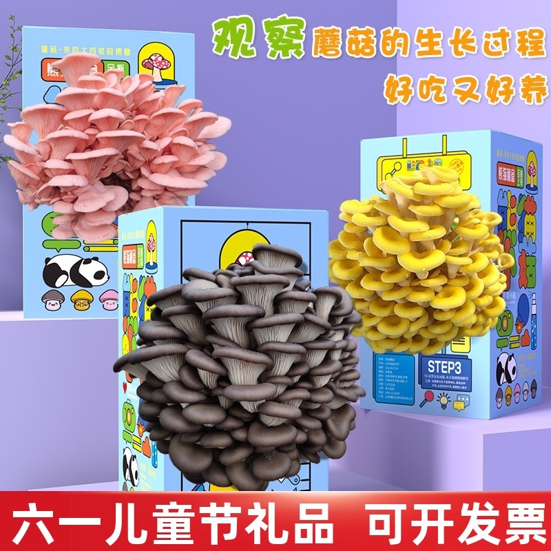 儿童创意生日礼物品送朋友全大班同学伴手礼分享幼儿园小学生奖励