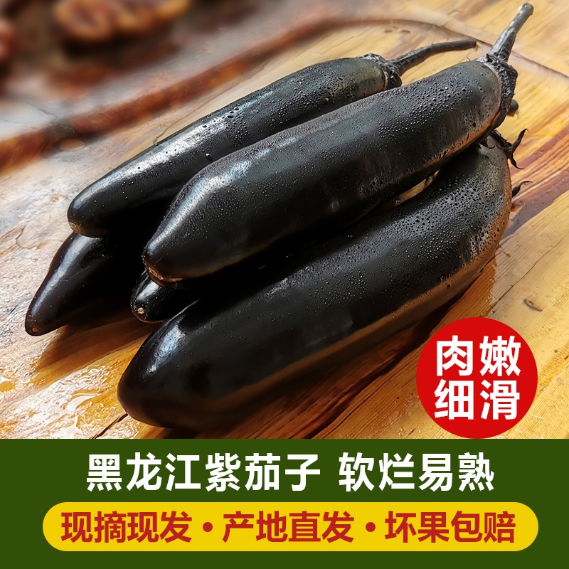 茄子新鲜蔬菜5斤东北现摘茄子当季时令蔬菜绿把农家黑紫长线茄子