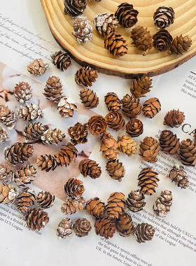刷白落叶松果圣诞小松果装饰松塔野生童手工材料包diy幼儿园摆件