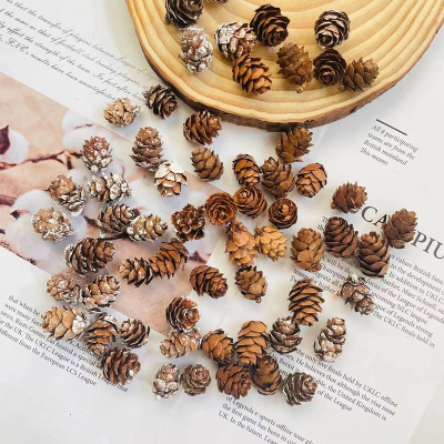 刷白松果小松松塔手工diy摆件