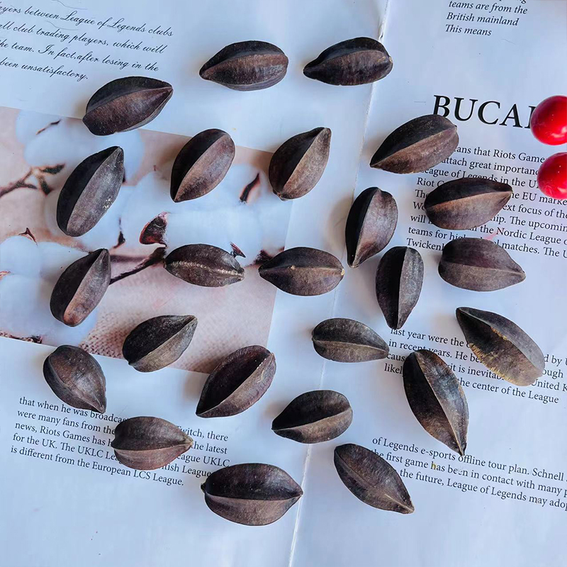 使君子五角桃天然植物干花diy留求子史君子手工香薰材料装饰品