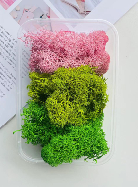 永生花苔藓植物墙装饰背景墙干花钥匙挂件制作diy材料包车挂材料