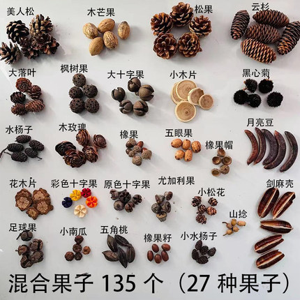 天然果实橡果松果幼儿园环创材料包拍摄道具手工diy果子27种135个