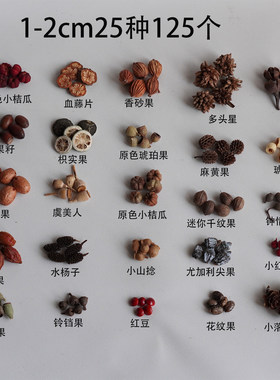 迷你植物果实手工材料包耳饰发夹