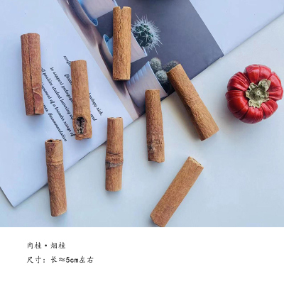 烟桂皮手工diy装饰工艺品