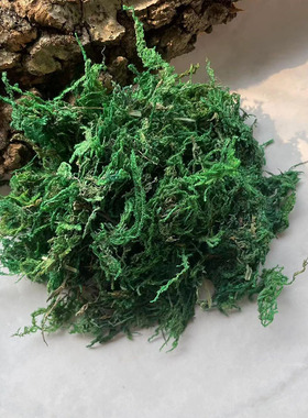 【干苔藓】天然绿色真苔藓干青苔微景观盆栽永生花森系花环滕材料