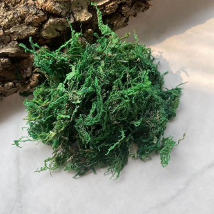 【干苔藓】天然绿色真苔藓干青苔微景观盆栽永生花森系花环滕材料