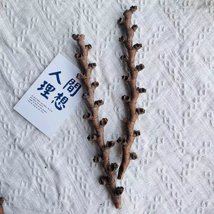 进口巴西布里蒂干树枝天然植物干花插花装饰原生缸南美缸造景树枝