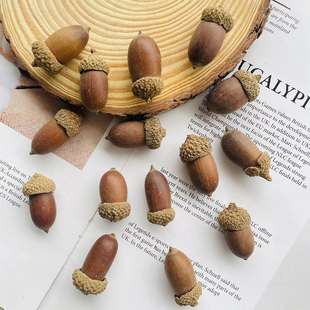 森系天然橡子干果大橡果圆橡果装饰手工干花挂件幼儿园环创小摆件