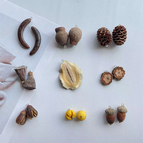 带羊角钉手工diy果子天然橡果莲蓬开口笑植物果实创意耳环手链果