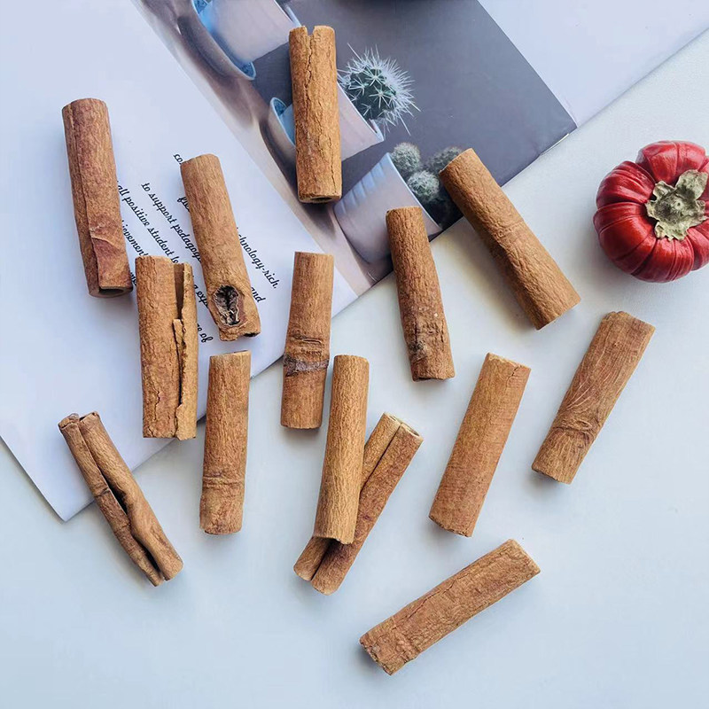 永生花diy材料桂皮短款肉桂圣诞装饰材料手工制作配材干花包软装,家居饰品,干花/花瓣/干花包/干树枝,淘宝优惠券,粉丝福利购,淘宝优惠卷