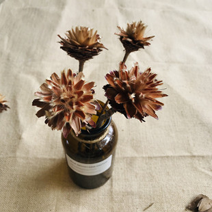 进口干花木荷花文艺小清新永生花真花家居工作室装饰婚庆拍摄道具