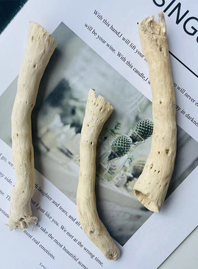 漂流白色木造景棍树枝diy
