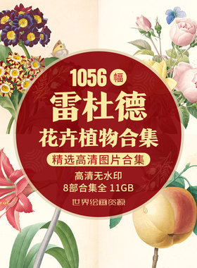 雷杜德Redoute 手绘插画玫瑰百合花卉植物参考临摹装饰画图片素材