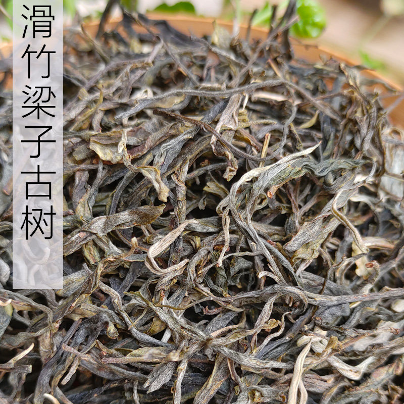 2026明前头春勐宋滑竹梁子古树纯料 普洱茶 生茶 散装500g