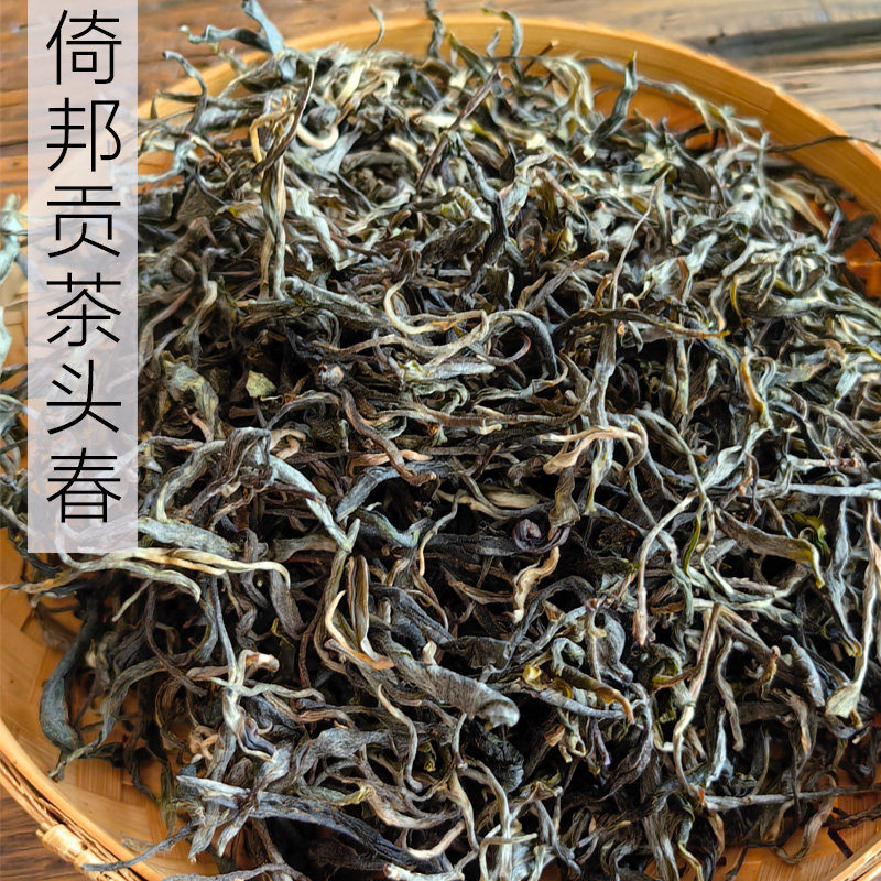2026头春头采明前倚邦大树古树纯料 普洱茶 生茶 散茶盒装500g