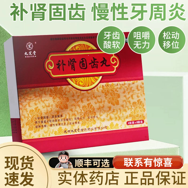 九芝堂补肾固齿丸搭牙痛药牙齿松动牙齿肿牙齿酸软慢性牙周炎肾虚