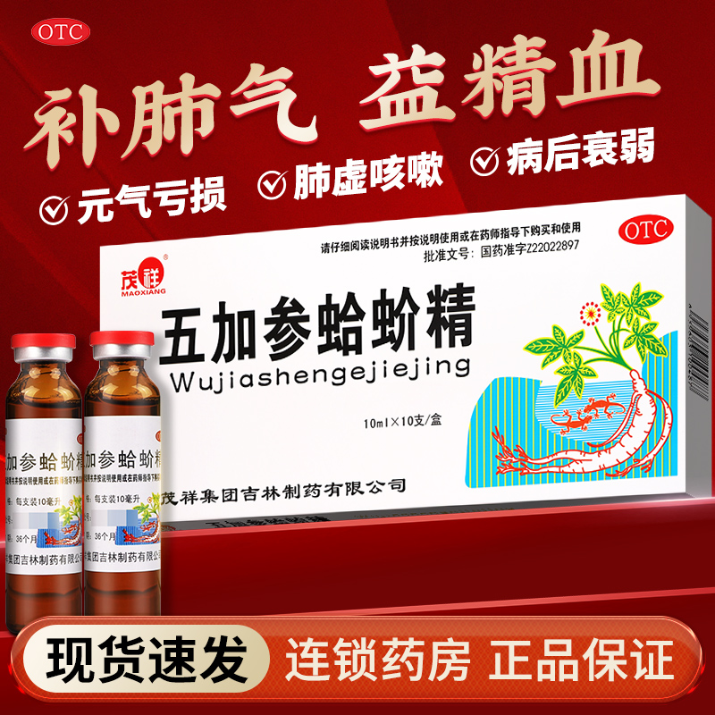 【茂祥】五加参蛤蚧精10ml*10支/盒