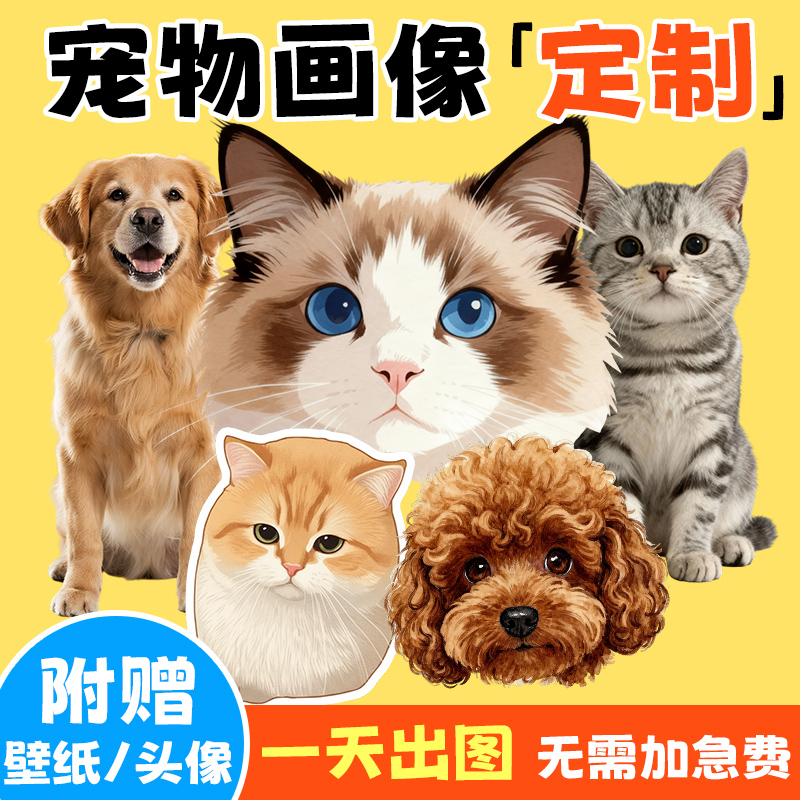 宠物画像定制↑一天出图纯手绘