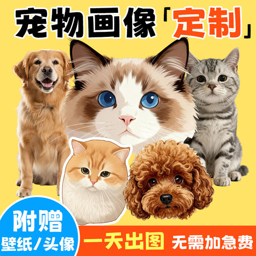 宠物画像定制↑一天出图纯手绘