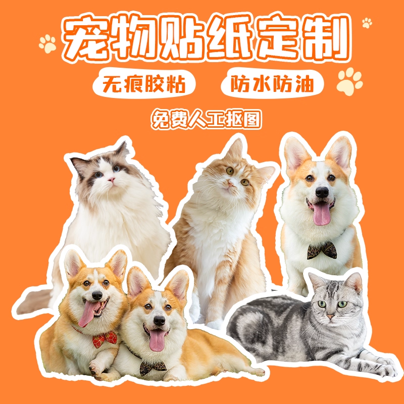 宠物照片贴纸定制DIY手账异形全切贴画来图定做小猫小狗萌宠大头贴防水PVC贴纸印刷打印