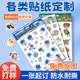 异形联名贴纸定制diy来图自印全切标签不干胶文创卡通贴画订制