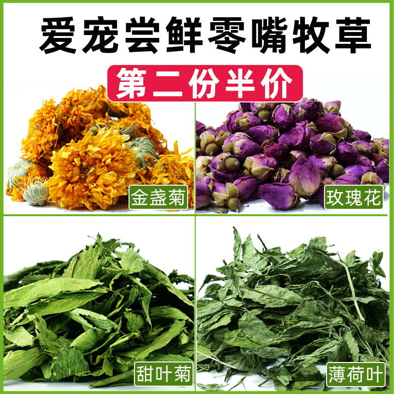兔兔零食薄荷叶菊苣草金盏菊蒲公英干草宠物兔子龙猫荷兰猪牧草