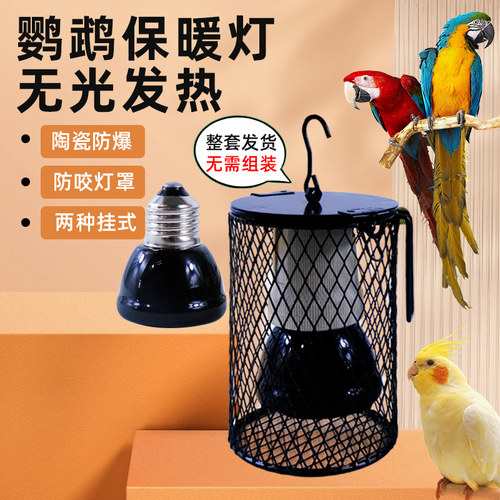 鹦鹉保温灯乌龟芦丁鸡无光陶瓷加热保暖灯防咬温控爬虫箱宠物用品
