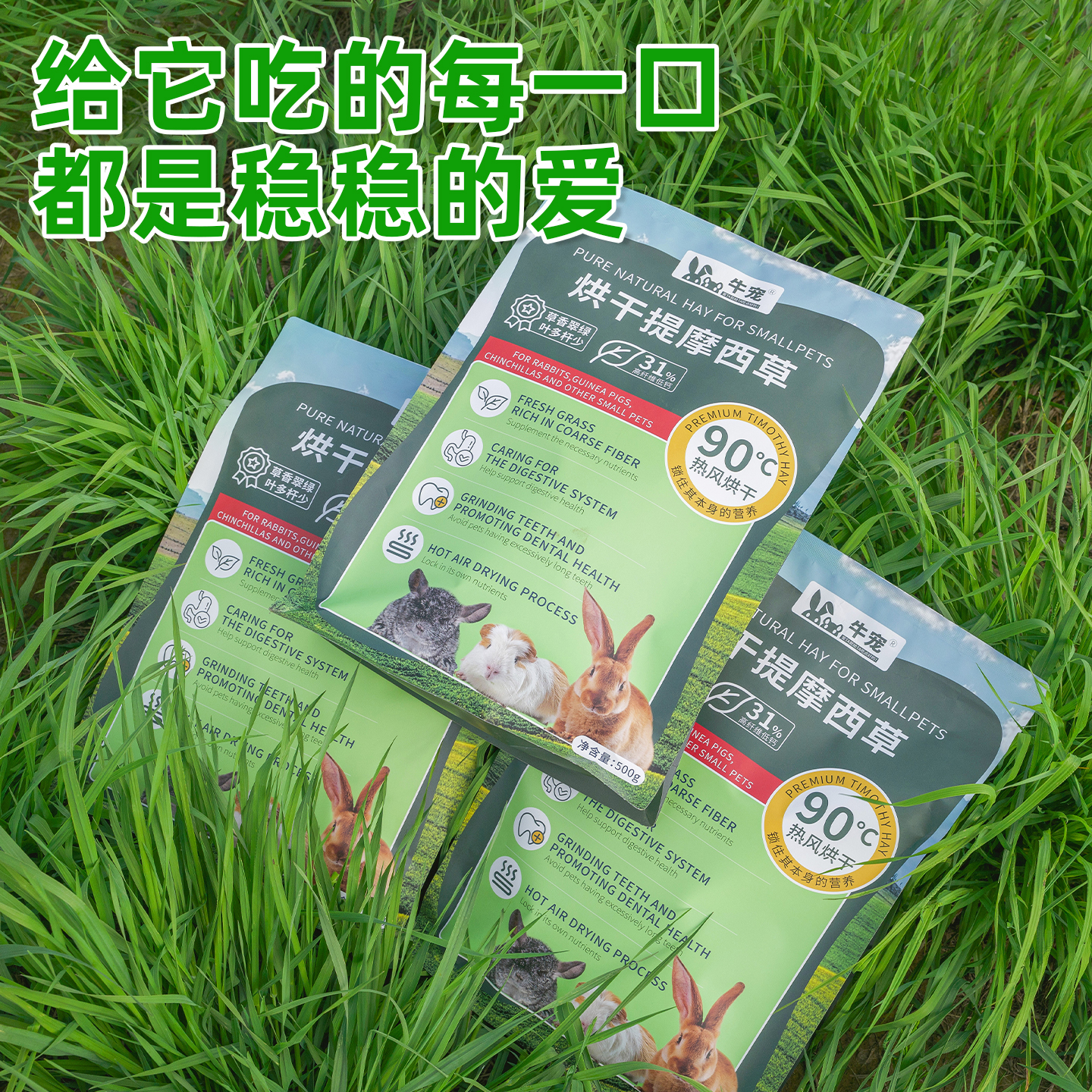 提摩西草兔子粮食豚鼠南提草牛宠