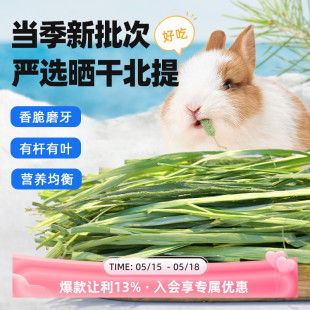 2023年优质提摩西草兔子粮草晒干提草龙猫荷兰猪饲料豚鼠提摩西草