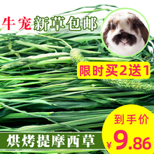 2020年烘干提摩西草干草500g兔子干草提草荷兰猪饲料豚鼠龙猫草粮