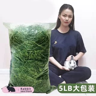 提摩西草提草北提兔草兔子干草草