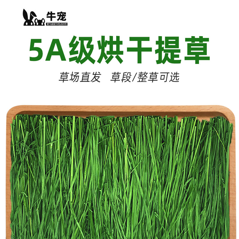 25年烘干提摩西草兔子食用草干草