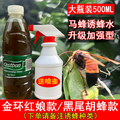 诱胡蜂红娘金环蜂水500克马蜂