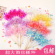 网红ins韩系炫彩雨丝插件生日蛋糕装 饰 饰摆件流苏韩国亮片插旗装