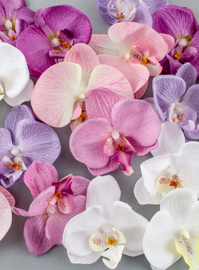 2023网红新中式蛋糕装饰摆件 仿真蝴蝶兰白色粉色紫色布料手感花