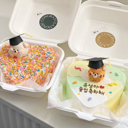简约纸质小帽子学生毕业学士帽