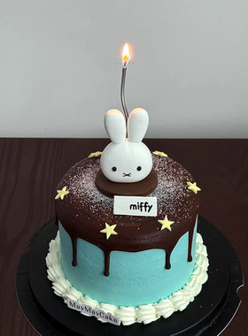 网红米菲兔子薄巧蝴蝶结星星五角星曲线蜡烛蜡烛插件蛋糕装饰摆件