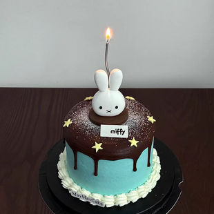 网红米菲兔子薄巧蝴蝶结星星五角星曲线蜡烛蜡烛插件蛋糕装 饰摆件