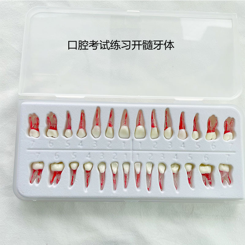 口腔产品考试练习开髓牙粒牙粒