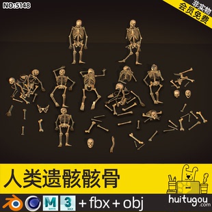 人类遗骸骨架C4D模型MAX头骨OBJ墓地头颅骨骼FBX格式3D素材源文件