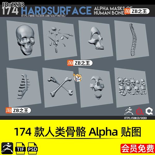 ZBrush素材174款人类头颅骨骼骸骨Alpha贴图纹理PSD格式ZB雕刻