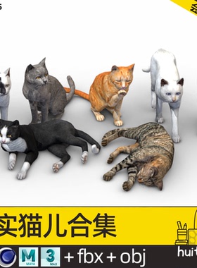 静态小猫模型C4D写实猫咪Blender黑白灰色豹猫儿OBJ格式FBX源文件